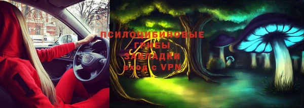 тгк Сатка