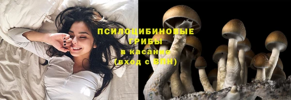 гидропоника Алексин