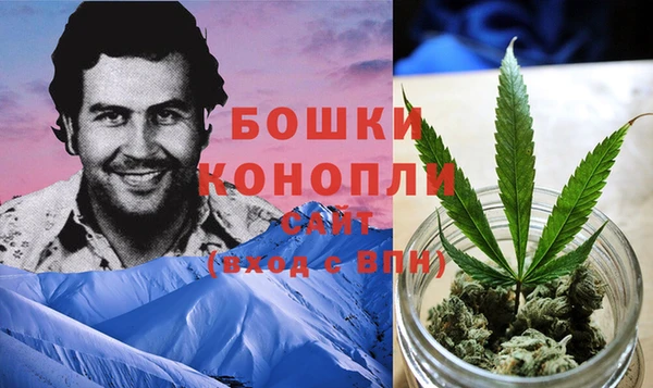 тгк Сатка