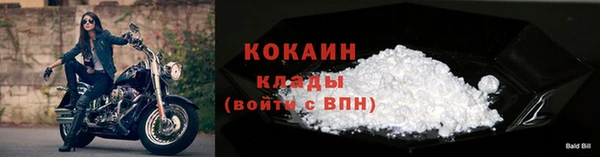 сатива Сафоново
