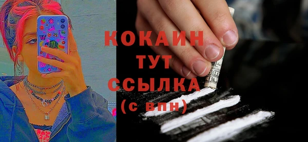 сатива Сафоново