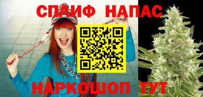 сатива Обь