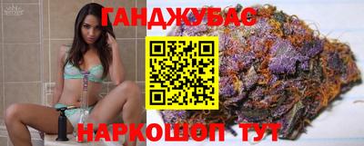 сатива Обь