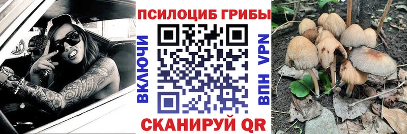 хочу   OMG ONION  Псилоцибиновые грибы ЛСД  Великий Новгород 