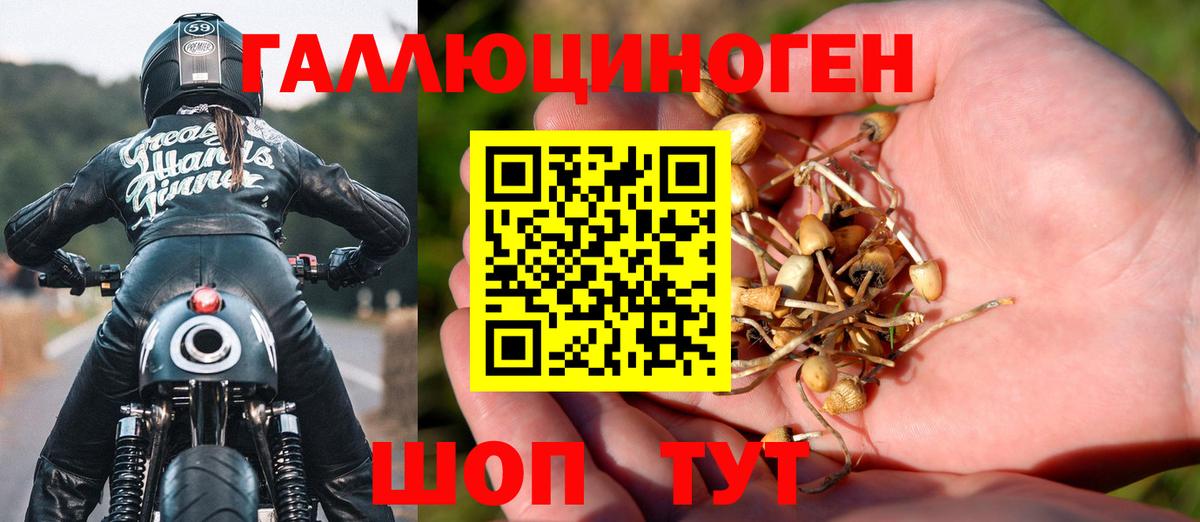 Галлюциногенные грибы Cubensis Великий Новгород