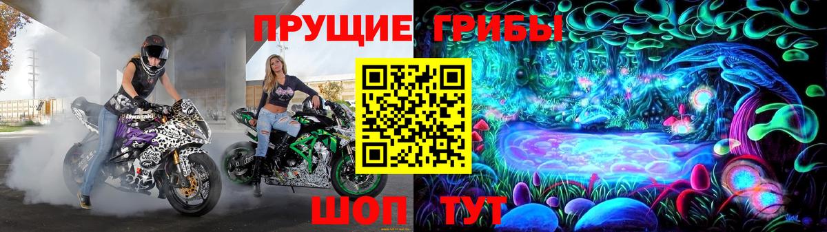 купить наркоту  Вход с VPN  Псилоцибиновые грибы Magic Shrooms  Великий Новгород  Псилоцибиновые грибы мицелий 